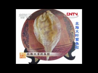 isinglass, or fish glue y ji o (yu jiao) is a product obtained from the membrane of fish swim bladders.