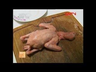 a special type of pigeon, specially bred for the sake of delicious gourmet meat xi ng g (xiang ge)